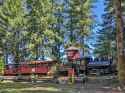 2023-07-01__-__Cowichan_Valley_Railway,_Forest_Discovery_Centre,_BC