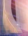 EDD_1642 copy