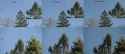 filters_compared