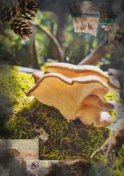 Picsart_25-04-28_10-47-54-712