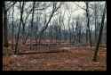 secretspot3