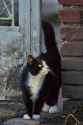 DSC01950