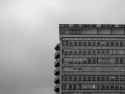 CRW_9838