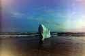 Ghost 2024