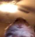 1549419552610