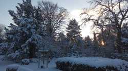 IMG_20240118_161336