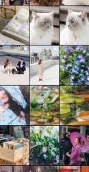 horgen_foto