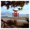 ResizedImage_2025-05-14_16-11-39_1310