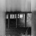 12 — 2025-05-01 1736 01.1 — Ilford HP5+