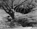 delta100300mmSinaron (3)