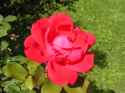 PICT0007