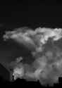 Cloud9