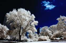summertime-blues-infrared-image