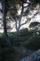 DSCF37204000px