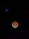 PXL_20250314_071158489.NIGHT