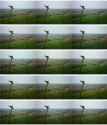 ContactSheet-001