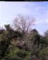 Image_0001
