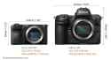 Sony-Alpha-a6700-vs-Nikon-Z8-size-comparison[1]
