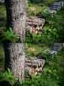wideopen
