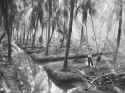 Harmless-Harvest-Thailand-Joey-L-Photographer-03