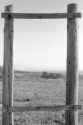 scan0019_01