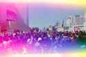 crowd