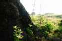 DSCF0725