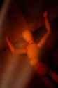 piss christ 2