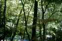 PICT0007 (2)