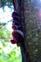 IMG_20250618_202332