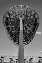 IMG_1299_Paddlewheel_BW