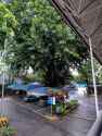IMGhedge_20250109_131759_DRO_1