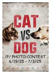 CATVSDOG