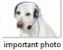 important_photo