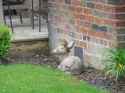 IMG_20250620_165316702