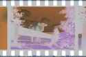 IMG9089_A