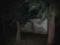 IMG_20250303_224903