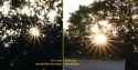 Sunstar-comparison