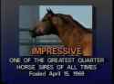 Impressive_One_of_the_Greatest_Quarter_Horses_of_All_Time