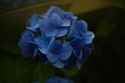 DSC00285_04