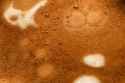 macro