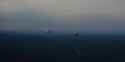Still 2025-06-25 194049_1.11.1