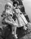 DSC_6573 (2048)
