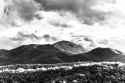 7241 MtPisgah
