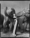 Richard Avedon