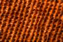 should learn focus stack