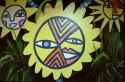 sunflower faces
