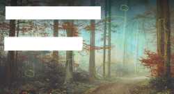Screenshot 2025-07-03 222228