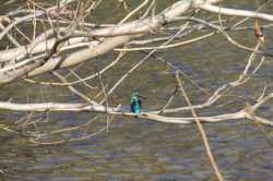 IMG_20250330_174508_806