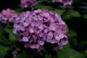 DSC00188_01
